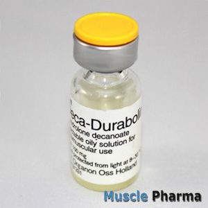 Дека (Nandrolone Decanoate)